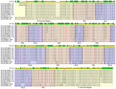 Expression and regulation of the CXCL9-11 chemokines and CXCR3 receptor in Atlantic salmon (Salmo salar)